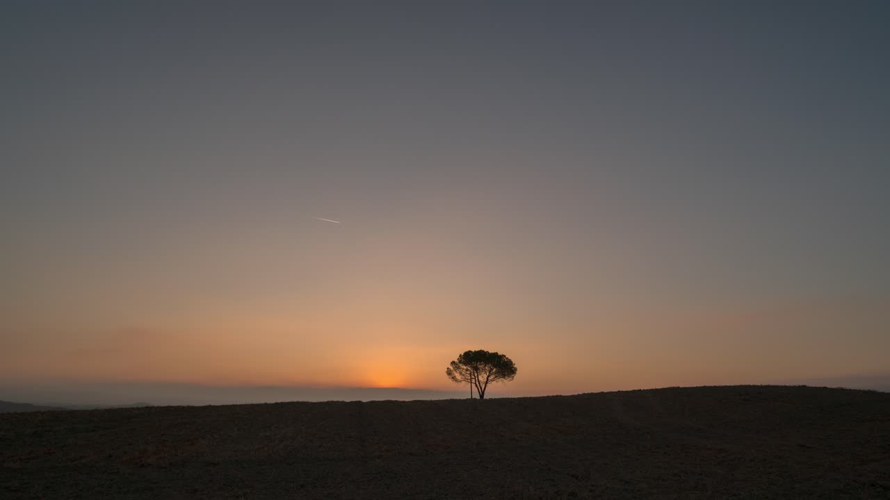 Timelapse of sunrise behind a single tree in Tuscany, Italy 4k