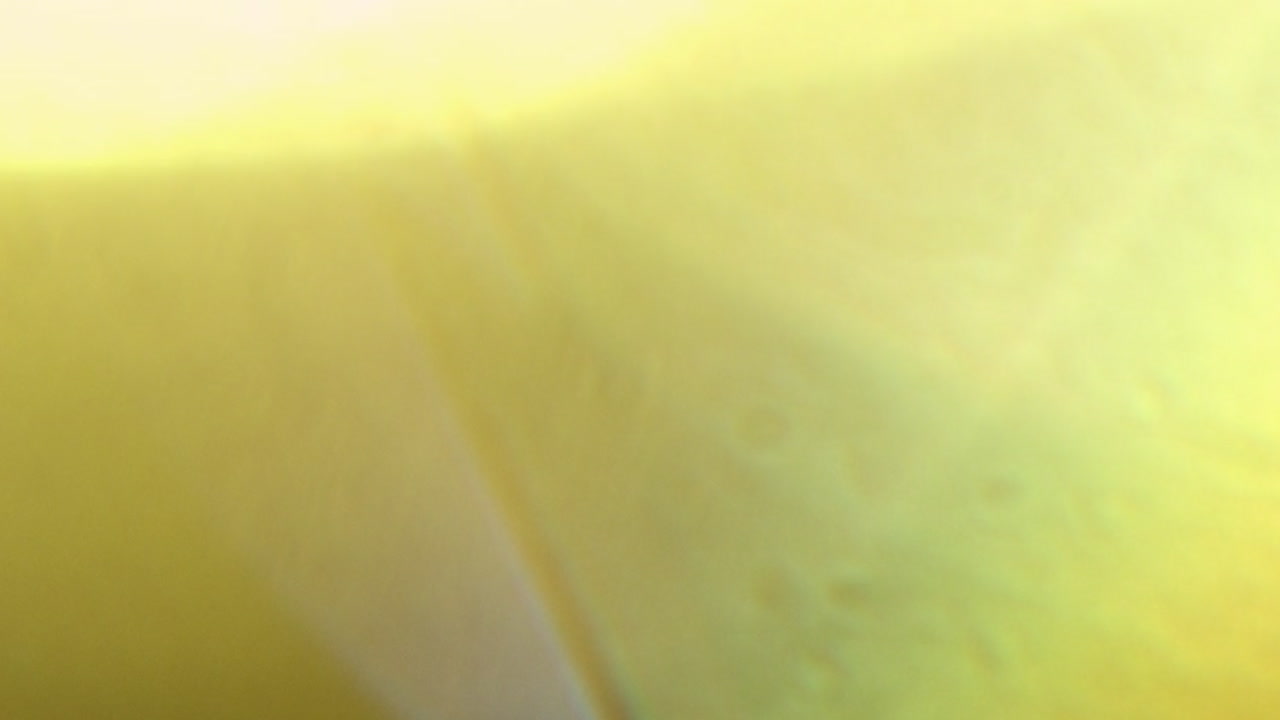 Solid Green Screen Chroma Key Background