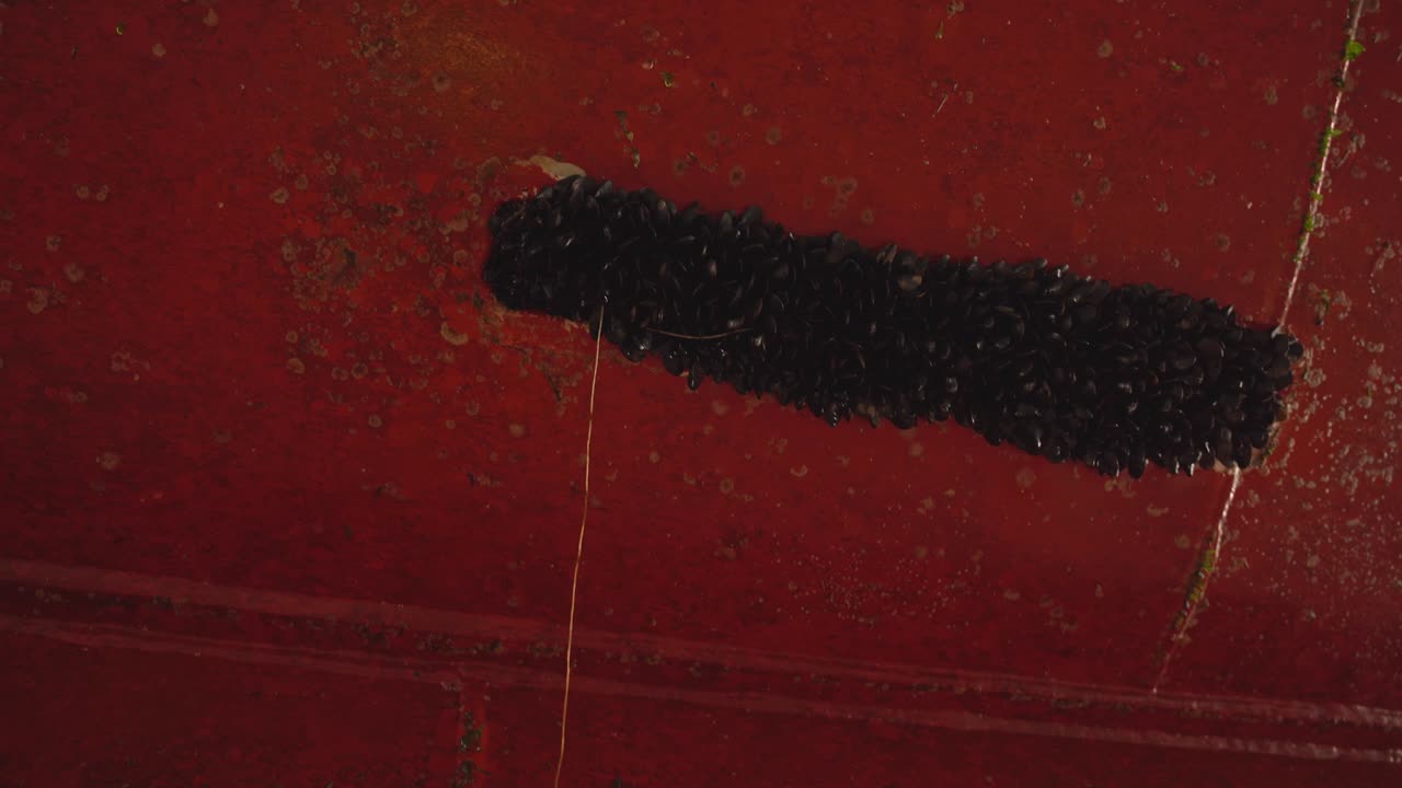 여객선 선체의 홍합으로 덮인 아연 양극 - 선박이 청소를 위해 드라이독에 있는 동안 양극을 올려다보는 낮은 각도의 어두운 클립 - 먼지 때문에 선박의 높은 에너지 소비