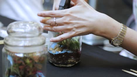 making of terrarium