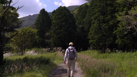 male hiker walking into frame, walking on path in low grass towards forest