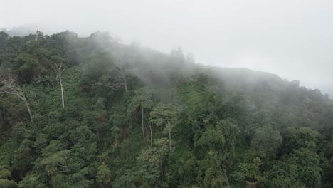 drone slowly pans across a misty forested mountain of the sierra nevada, colombia