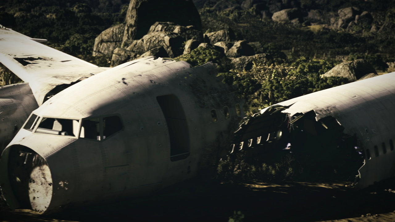 Sunlight filters over mosscovered fuselage in silent forest clearing
