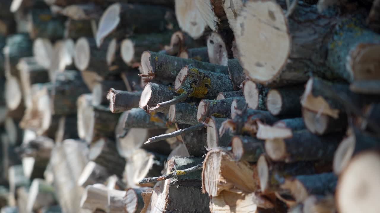 Pile of neatly stacked wooden logs in a sunny outdoor area