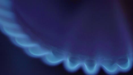 close-up of a fire in a gas stoker on a gas stove