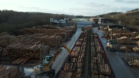 heavy machinery at work: log loader are sorting logs into different stacks which coming out of the conveyor belt at a german sawmill