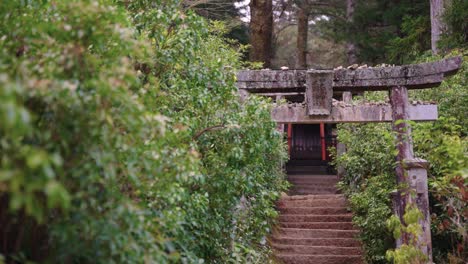 Santuario-Japonés-Escondido-En-Los-árboles-De-La-Isla-Miyajima,-Japón,-Torii-De-Piedra