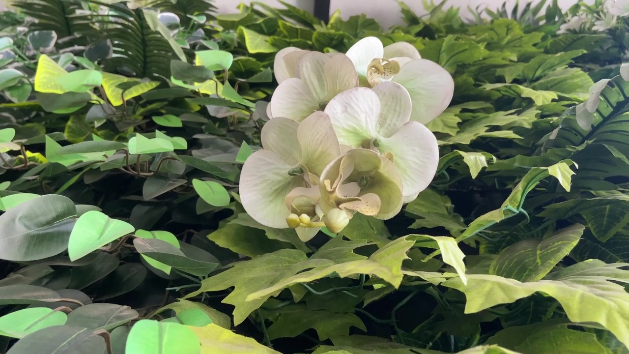 Orchidee artificiali decorative e piante verdi per l'interior design