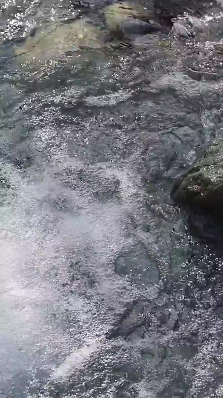 Acqua limpida e impetuosa scorre su rocce lisce in un ruscello di montagna. La luce naturale del giorno evidenzia il movimento dell'acqua e le bolle in superficie. Telecamera fissa, inquadratura media.