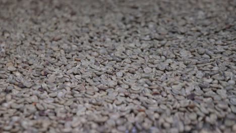 unroasted arabica coffee beans in slow motion