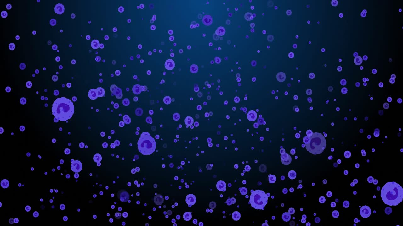 해군 배경에 떨어지는 보라색 원의 애니메이션