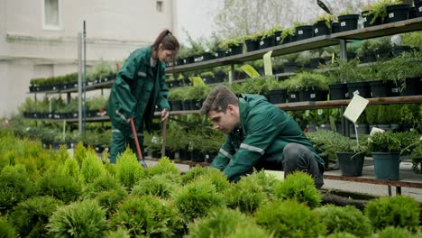 jardineros de invernaderos: cultivando la belleza de la naturaleza con pasión y experiencia