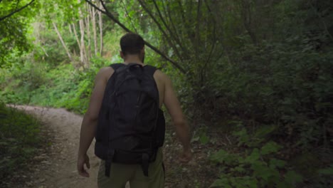 walking in the beautiful green summer forest.