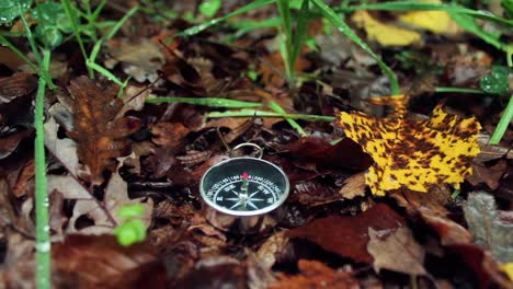 compass national forest park