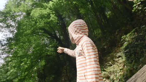 child exploring a forest