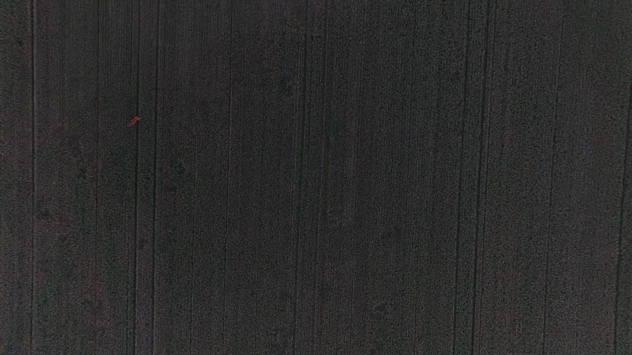 el ojo de los pájaros disparado por encima de los ciervos corriendo por los campos rurales sombríos