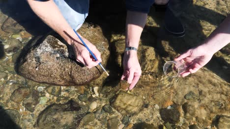 un científico ciudadano que realiza una investigación de campo observa animales marinos en charcos de rocas cerca del océano