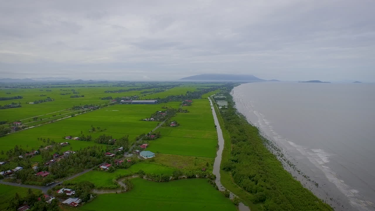 해변의 농업 농지에서 푸른 논 위를 날다