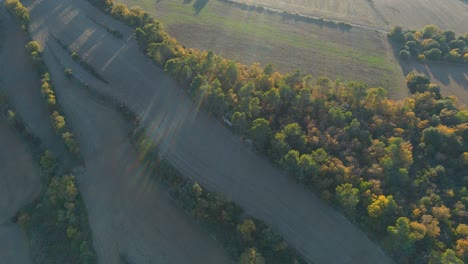 aerial view from a catalonian fields