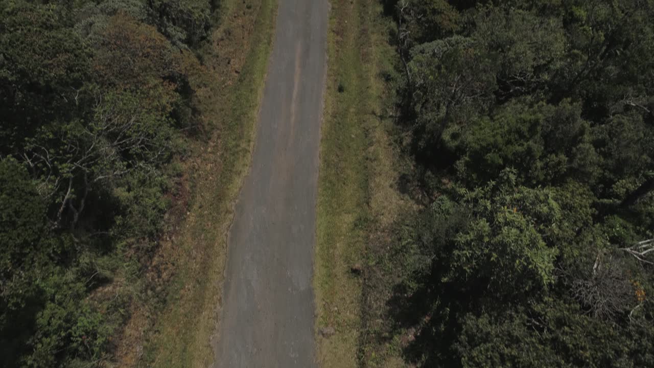 Inquadratura rivelatrice di una strada nel mezzo di una giungla