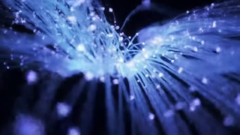 this captivating display showcases intricate blue light patterns that move fluidly, creating a mesmerizing experience. a perfect blend of colors and shapes that delights the senses.