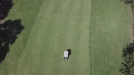 Vertical-high-angle-view-of-golf-cart-driving-on-golf-course-fairway