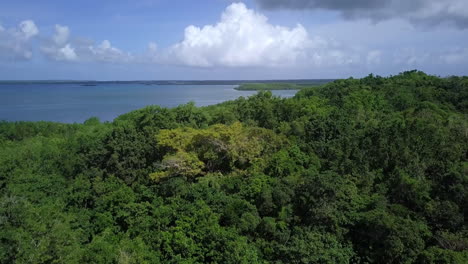 Aerial-view-of-a-bay