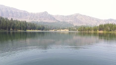 drone flies above woman swimming in beautiful lake alone