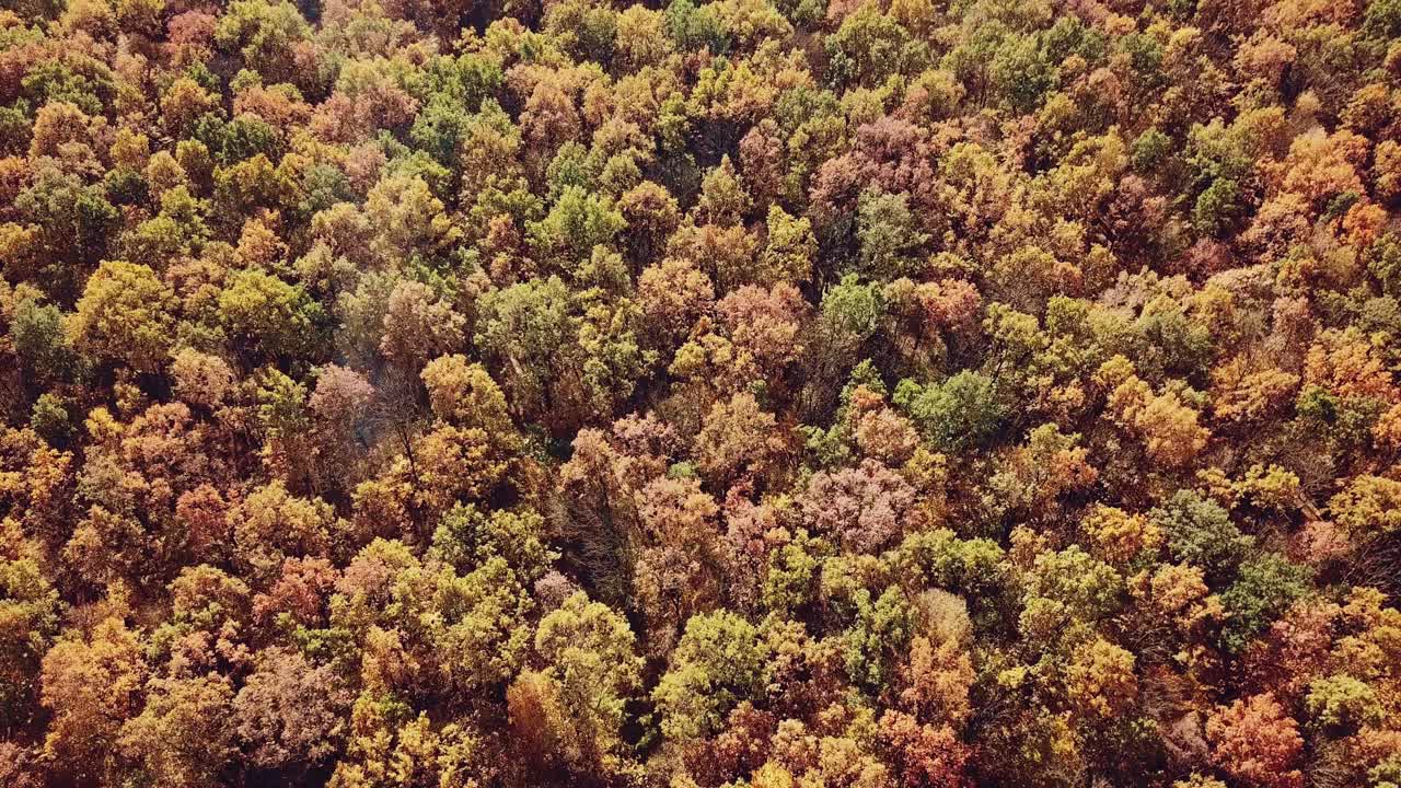 view of the autumn forest on the outskirts of the city. Aerial view. Camera motion up