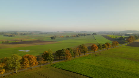 Autumnal-Trees-Lining-On-Dirt-Road-Near-Rural-Fields-In-Napromek,-Poland