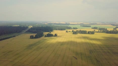 Aerial-Flying-over-beautiful-fields-Also-visible-fog-agriculture-shadows-from-clouds