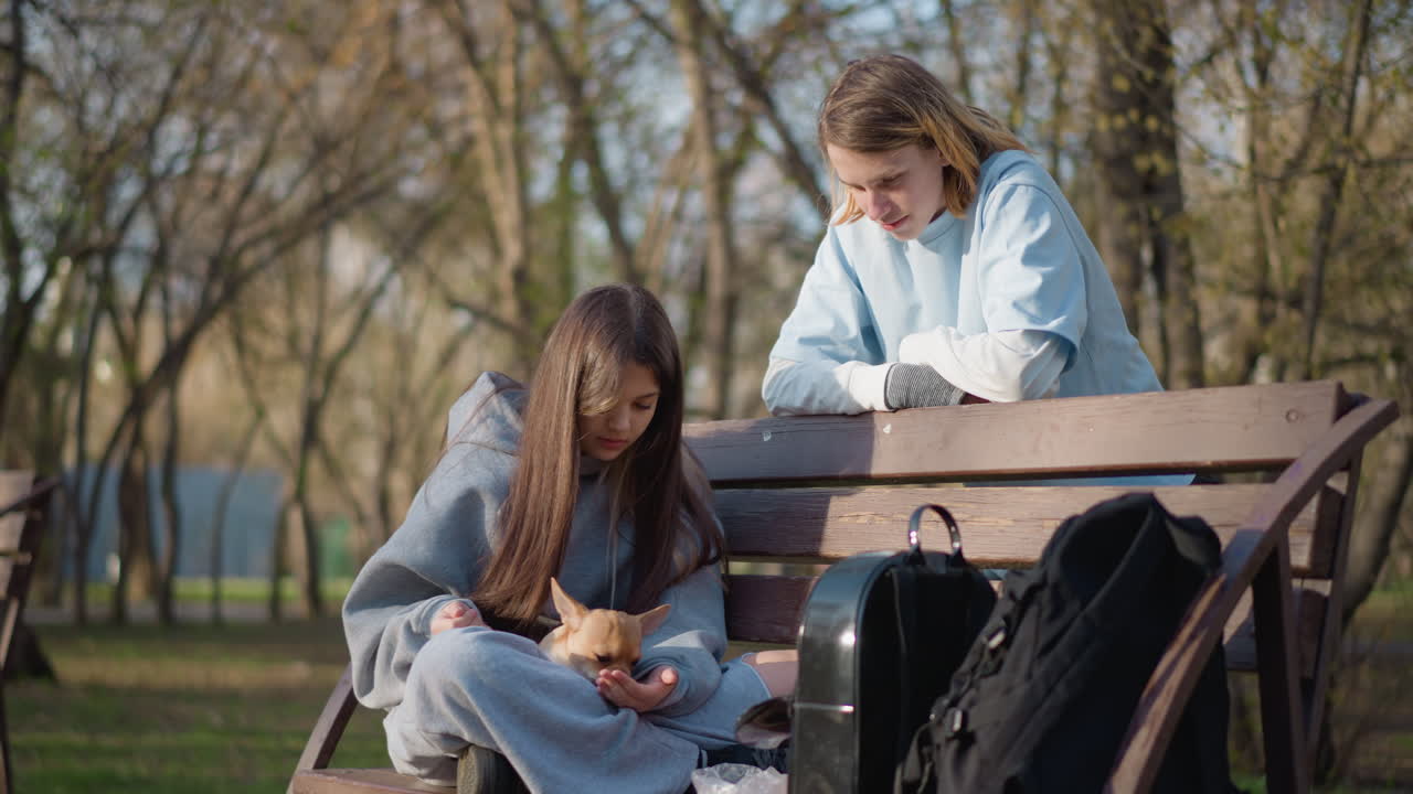 Белые и азиатские подростки отдыхают с чихуахуа на скамейке в парке в теплый полдень, рядом скейтборд и рюкзак, мирный момент общения и непринужденная беседа