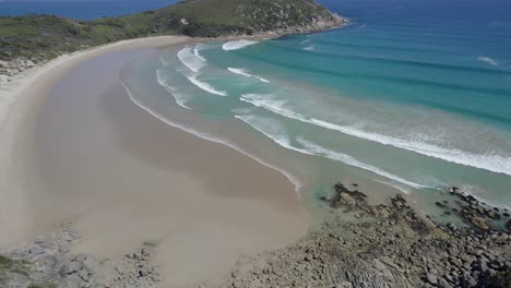 olas turquesas del océano rodando en la orilla arenosa, bahía de whisky en el promontorio de wilson, victoria, australia - toma aérea