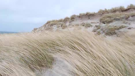 Vista-Panorámica-De-Céspedes-De-Marram-Beachgrass-En-Grandes-Dunas-De-Arena-Moviéndose-En-Un-Clima-Ventoso-Y-Salvaje-En-Berneray,-Hébridas-Exteriores-Del-Oeste-De-Escocia,-Reino-Unido