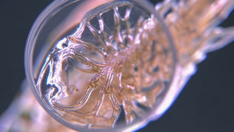 intricate microscopic biological structure