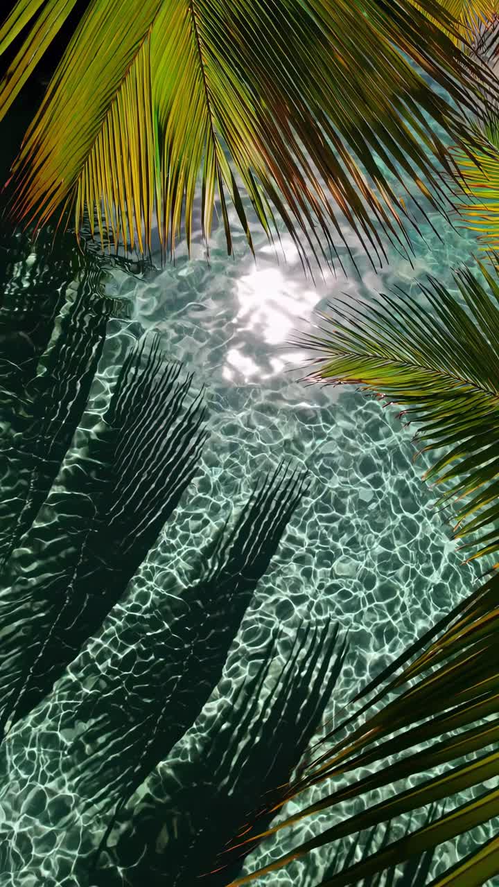 Aerial view of sunlight shimmering on clear water with palm fronds casting shadows