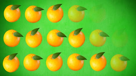 Animation-of-single-oranges-floating-on-green-background