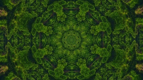 Kaleidoscope-geometric-animated-pattern-abstract-nature