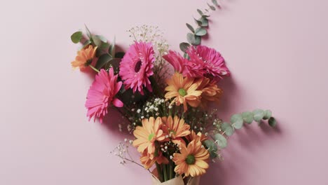 Video-of-bunch-of-multi-coloured-flowers-and-copy-space-on-pink-background