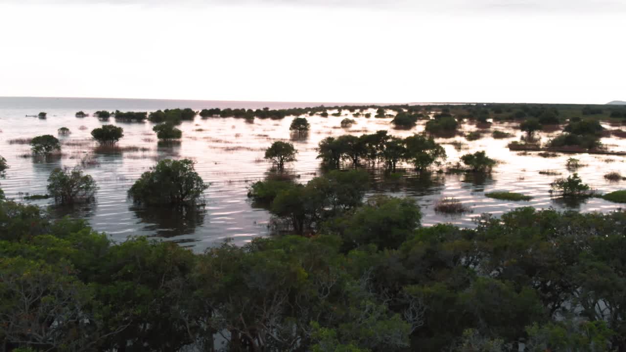 An aerial drone shot over a partially submerged forest in Cambodia, with small boats navigating through the trees, showcasing the region's unique seasonal flooding and natural beauty.