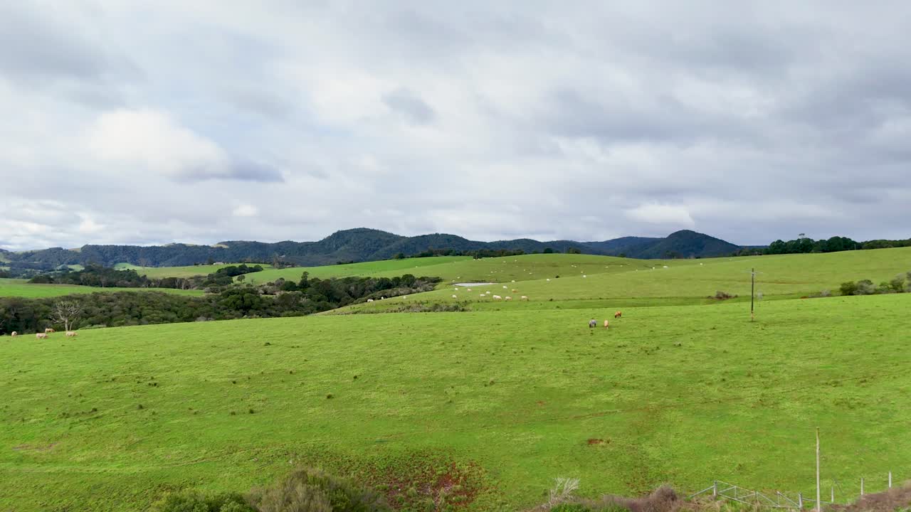Drone camera smoothly pans across vibrant rural landscape under overcast sky, revealing rolling hills