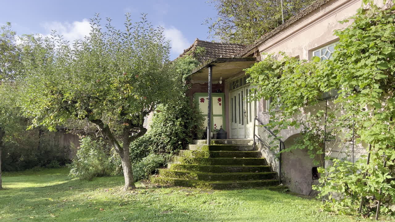 Vecchia casa rumena con vegetazione che avvolge le scale e le pareti