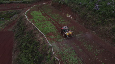 drone shot from behind over tractor spraying, potato plantations