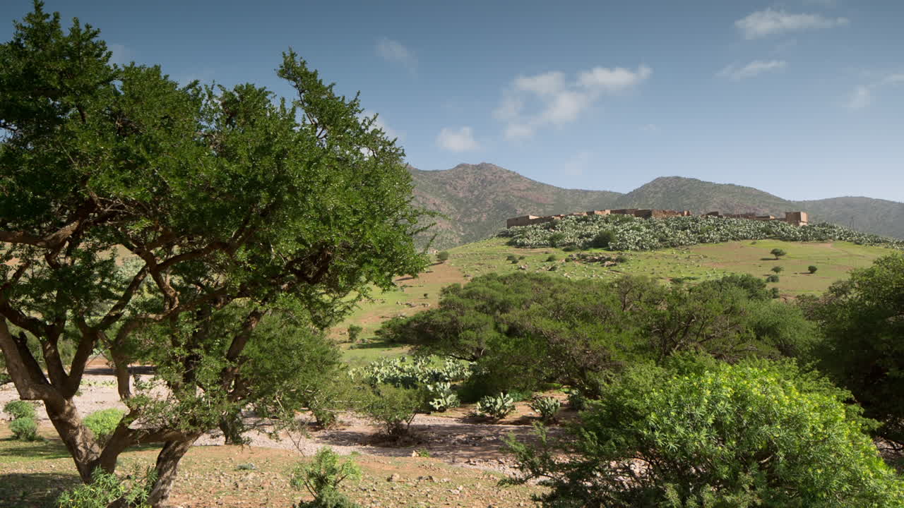 Valle dell'Argan 1