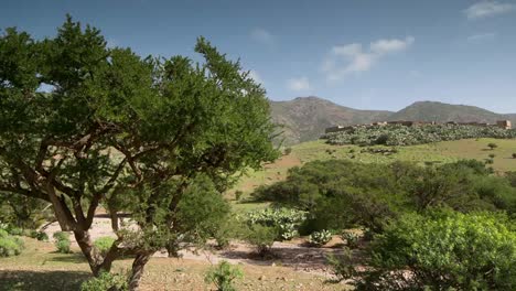 argan valley 1