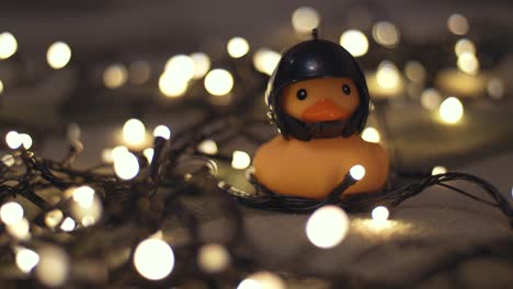 close-up shot of rubber duck in hand made motorcycle helmet on background of christmas garland