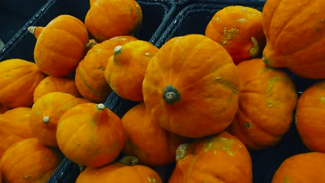 gorgeous vibrant orange and yellow colored pumpkins on top of each other in a supermarket or a store under good lighting. the pumpkins are small and the stems are visible while camera moves up.