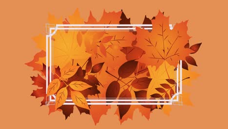 animation of frame over leaves on orange background