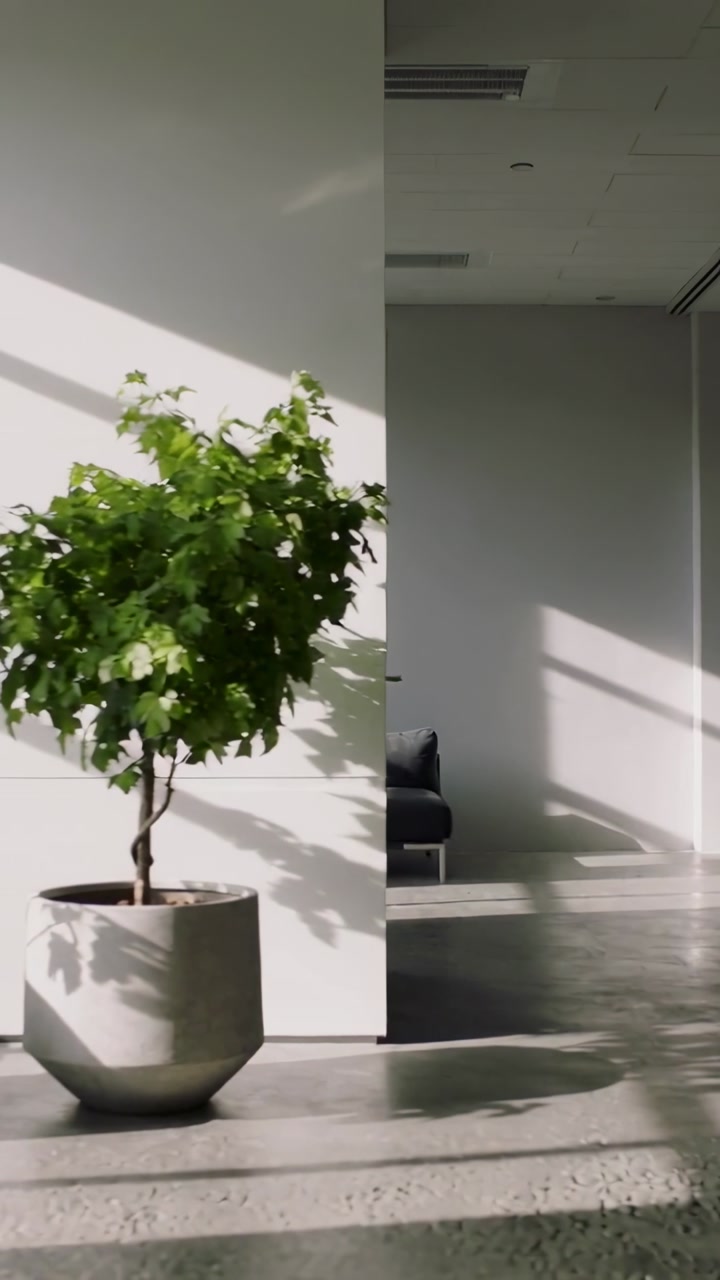 Vertical video: Panning camera highlighting potted tree and dark sofa in lobby, light and shadows
