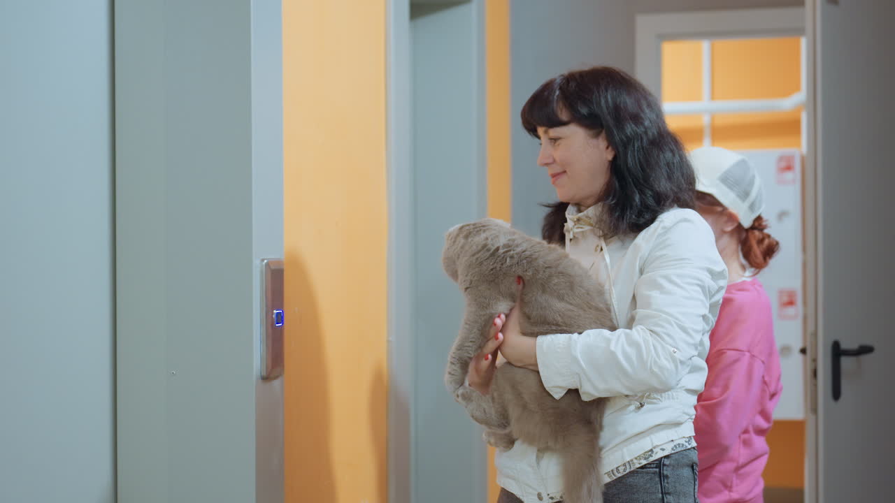 Woman Hugs Cat, Bright Entrance With Cat In Arms, Female Owner Cuddles Cat Near Elevator In Comfortable Home, Woman Comfortably Holds Her Gray British Shorthair In Welcoming Apartment Corridor